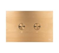Placca doppio tasto Blink Oro Light Spazzolato cassetta incasso Oli