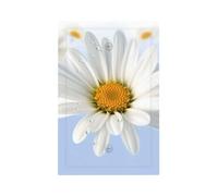 Placche decorative da parete a forma di margherita bianca, copertura per interruttore della luce, 1 uscita, dimensioni standard 12,7 x 7,6 cm, copertura per spina elettrica, decorazione per la casa