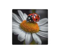 Placche decorative da parete a forma di margherita con coccinella, copertura per interruttore a 2 uscite, piastra elettrica in termoplastica per dispositivo decorativo, viti incluse