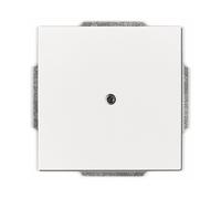PLACCHETTA COPRI INTERRUTTORE BUSCH-JAEGER 2CKA001710A3161, Argento, Bianco