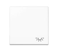PLACCHETTA COPRI INTERRUTTORE CON SIMBOLO LUCE JUNG aws per /pulsante A 590 L WW