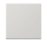 PLACCHETTA COPRITASTO PER INTERRUTTORE JUNG LS990LG - Dimensioni 7 cm x 7 cm, Peso 34 g, Colore grigio chiaro