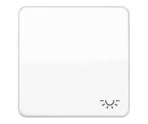 PLACCHETTA INTERUTTORE CON SIMBOLO LUCE JUNG interruttore con CD 590 L WW - 6,7 x 6,7 cm, 0,035 kg