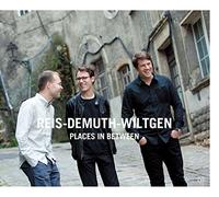 PLACES IN BETWEEN - REIS / DEM