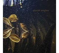 Placid Angles - Touch The Earth