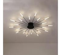 Plafoniera A LED Gypsophila, Plafoniere Nordic Lighting Lampadari Moderni per Fuochi D'artificio da 1 W con Acrilico, per Soggiorno Camera da Letto Corridoio, Black 20 Head