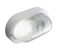 Plafoniera Da Esterno Echo Ovale Termoplastica E Vetro Bianco 1 Luce E27