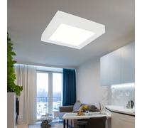 Plafoniera Aufbaupanel Lampada Luce Diurna Corridoio Dimmerabile Bianco 1x LED