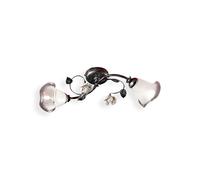 Plafoniera Classica Siena Metallo E Ceramica Nero Sfumato Argento 2 Luci E14