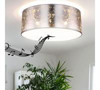 Plafoniera con altoparlante Bluetooth 40 cm lampada da camera da letto argento plafoniera soggiorno, telecomando dimmerabile, 3x LED RGB 8,5W 806Lm bianco caldo, H 17,5 cm