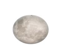 Plafoniera da Interno a LED in Acrilico Bianco