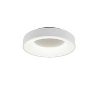 Plafoniera da Interno a Led in Metallo Bianco Opaco