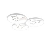 Plafoniera da Interno a LED in Metallo Bianco Opaco