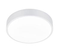 Plafoniera da Interno a LED in Metallo Bianco Opaco