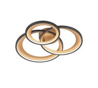 Plafoniera da Interno a led in Metallo Nero Opaco