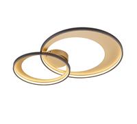 Plafoniera da Interno a LED in Metallo Nero Opaco