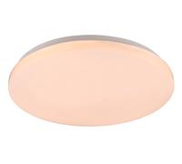 Plafoniera da Interno a LED in Plastica Bianco