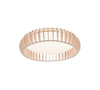 Plafoniera da Interno a LED in Plastica Bianco