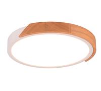 Plafoniera da Interno a LED in Plastica Bianco Opaco