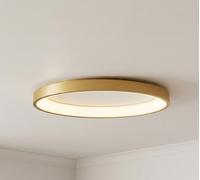 Plafoniera da soffitto a led design moderno piccolo per salotto RD-1104
