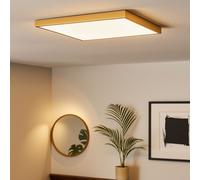 Plafoniera Deckenpanel Luci Montaggio Ottone LED Lampadario Camera Letto L 45 CM [EEK: Inaditato]