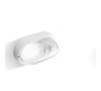 Plafoniera in termoplastico ECHO OVALE senza gabbia dimensioni 2,05x9,2xh 12 cm - E 27 IP 44 Diffusore in vetro stampato trasparente Bianco bianco