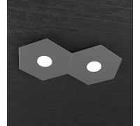 Plafoniera Industrial-Minimal Hexagon Metallo Antracite 2 Luci Led 12X2W