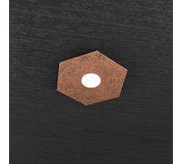 HEXAGON APPLIQUE-PLAFONIERA 1 LUCE FOGLIA RAME 1142-1L-FR
