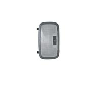 Plafoniera Interna per Hyundai Elantra 2008-2016, Interruttore per Gruppo luci di Lettura Posteriori, plafoniera Interna Posteriore, Luce sul Tetto (Beige 2011-2016) (Grigio 2008-2010)