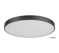 Rabalux TESIA 3317 Lampada da soffitto in metallo argento, plastica LED 40 W, 3000 - 6000 K, lunghezza: 5 cm, diametro 60 cm, dimmerabile, con telecomando