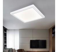 Plafoniera Lampadina a Luce Diurna Pannello LED Lampada da Corridoio Bianco L [EEK: Non valutato]