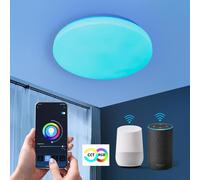 Plafoniera LED SMART 20W RGB CCT lampada WiFi luce multicolore cameretta Alexa [EEK: F]