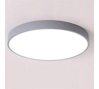Plafoniera LED Soffitto Plafoniera Moderna Soggiorno Camera Da Letto Luce Corridoio Balcone Soffitto Lampada Cucina A(Gray,Single cold white,27W 300MM)