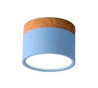 Plafoniera Led Soffitto, Plafoniere da Soffitto Luci a soffitto Lampada a soffitto in ferro moderno per soggiorno camera da letto camera per bambini corridoio corridoio a spot punto luce(Sky Blue,NEUT