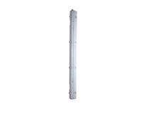 Plafoniera LED stagna per tubi 2xT8 230V 126 cm Bianco-grigio