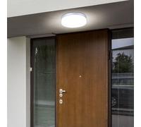 Plafoniera Luce Lampada Stanza da Bagno per Esterni Intemperie Argento Vetro [EEK: Inaditato]