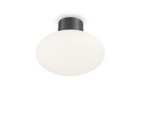 Plafoniera Moderna Clio Alluminio Antracite 1 Luce E27