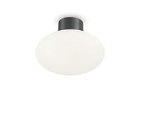Plafoniera Moderna Clio Alluminio Antracite 1 Luce E27
