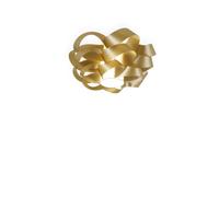 Plafoniera Moderna Cloud Polilux ® New Gold 2 Luci E27
