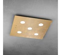 Plafoniera Moderna Quadrata Path Vetro Foglia Oro 5 Luci Gx53 [EEK: A++]