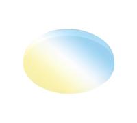 BRILONER - Lampada da Soffitto a LED con Telecomando, da Bianco Caldo a Bianco Freddo, Dimmerabile, Plafoniera a LED, Lampada da Soggiorno, 49 x 6,5 cm, Bianco Opaco