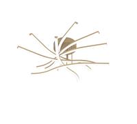 Plafoniera Moderna Tornado Alluminio Oro Led 60W [EEK: A++]