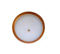 Plafoniera Rustica classica in vetro Satinato Bordo In Legno 2 luci 46cm Rotonda