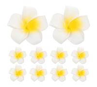 PLAFOPE 24 Pezzi Fermagli per Capelli con Fiori Plumeria Hawaiani Clip con Presa Sicura Accessori Leggeri per Donne per Feste Tropicali Spiaggia Vacanze e Matrimoni