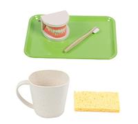 PLAFOPE Giocattolo Didattico Per Lavarsi i Denti Giocattolo Educativo Per Odontoiatria Di Giocattoli Per Apprendimento Precoce Rappresentazione Di Dente Per Ragazzo Ragazza Piccoli