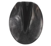 PLAFOPE Guasha A Forma Di Ferro Di Cavallo Con Squame Di Pesce Per Il Relax in Viaggio