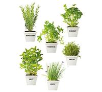 Plage 150415 Electrostatic Adesivi Aromatic Plants, plastica, Colorful, 29,7 x 0,1 x 21 cm