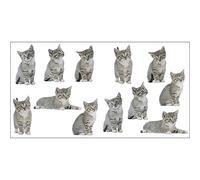 Plage 152015 Adesivi murali - Stickers-Gatti, 2 Fogli, 11 x 10,5 cm