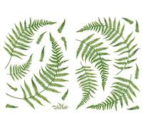 PLAGE 157050 Adesivi murali - Stickers- Felce, 2 Fogli, 29,7 x 21 cm