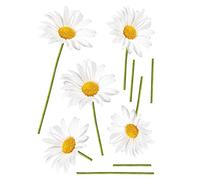 PLAGE 157063 Adesivi murali - Stickers-Margherite, 2 Fogli, 29,7 x 21 cm